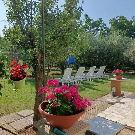 Greta Apartament *