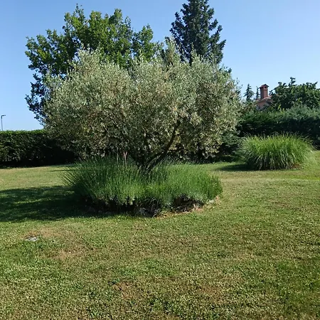 Greta Apartman